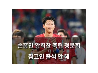 손흥민 황희찬 축협 청문회 참고인 출석 안 해