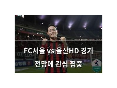 FC서울 vs 울산HD 경기 전망에 관심 집중