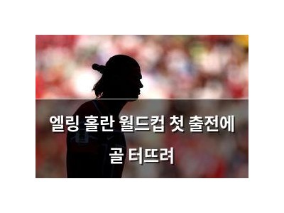 엘링 홀란 월드컵 첫 출전에 골 터뜨려