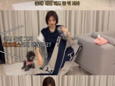 고준희 GO 담요에 쉬싸버린 팬들 반응 뜨거워