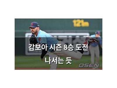 감보아 시즌 8승 도전 나서는 듯
