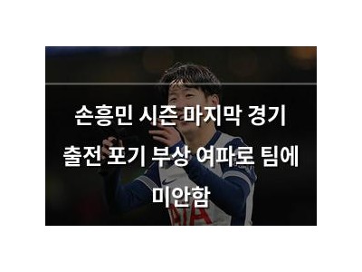손흥민 시즌 마지막 경기 출전 포기 부상 여파로 팀에 미안함