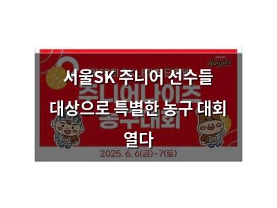 서울SK 주니어 선수들 대상으로 특별한 농구 대회 열다