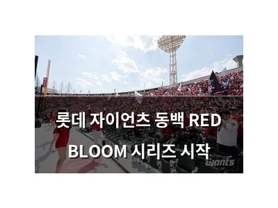 롯데 자이언츠 동백 RED BLOOM 시리즈 시작