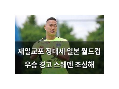 재일교포 정대세 일본 월드컵 우승 경고 스웨덴 조심해