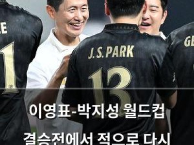 이영표-박지성 월드컵 결승전에서 적으로 다시 만났다