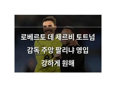 로베르토 데 제르비 토트넘 감독 주앙 팔리냐 영입 강하게 원해