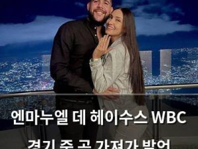 엔마누엘 데 헤이수스 WBC 경기 중 공 가져가 발언 논란