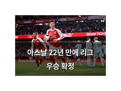 아스날 22년 만에 리그 우승 확정