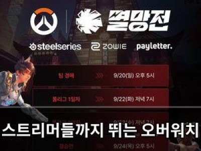 스트리머들까지 뛰는 오버워치 대회에 관심 집중